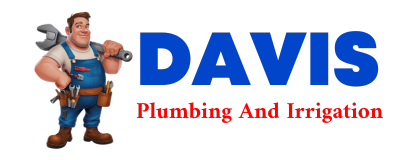 Trusted plumber in NEWBORN